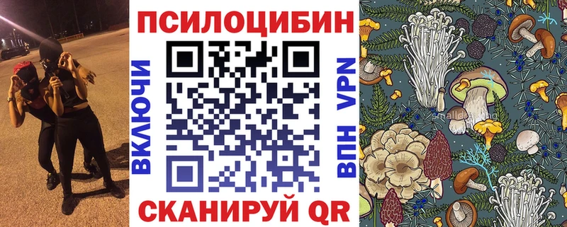 Псилоцибиновые грибы GOLDEN TEACHER  купить наркотик  Дальнереченск 